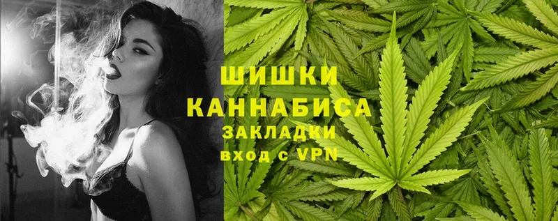 где найти   Петровск  Каннабис OG Kush 